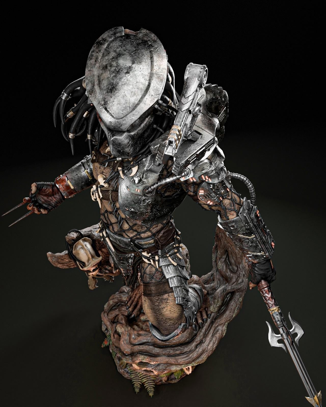 Image #12