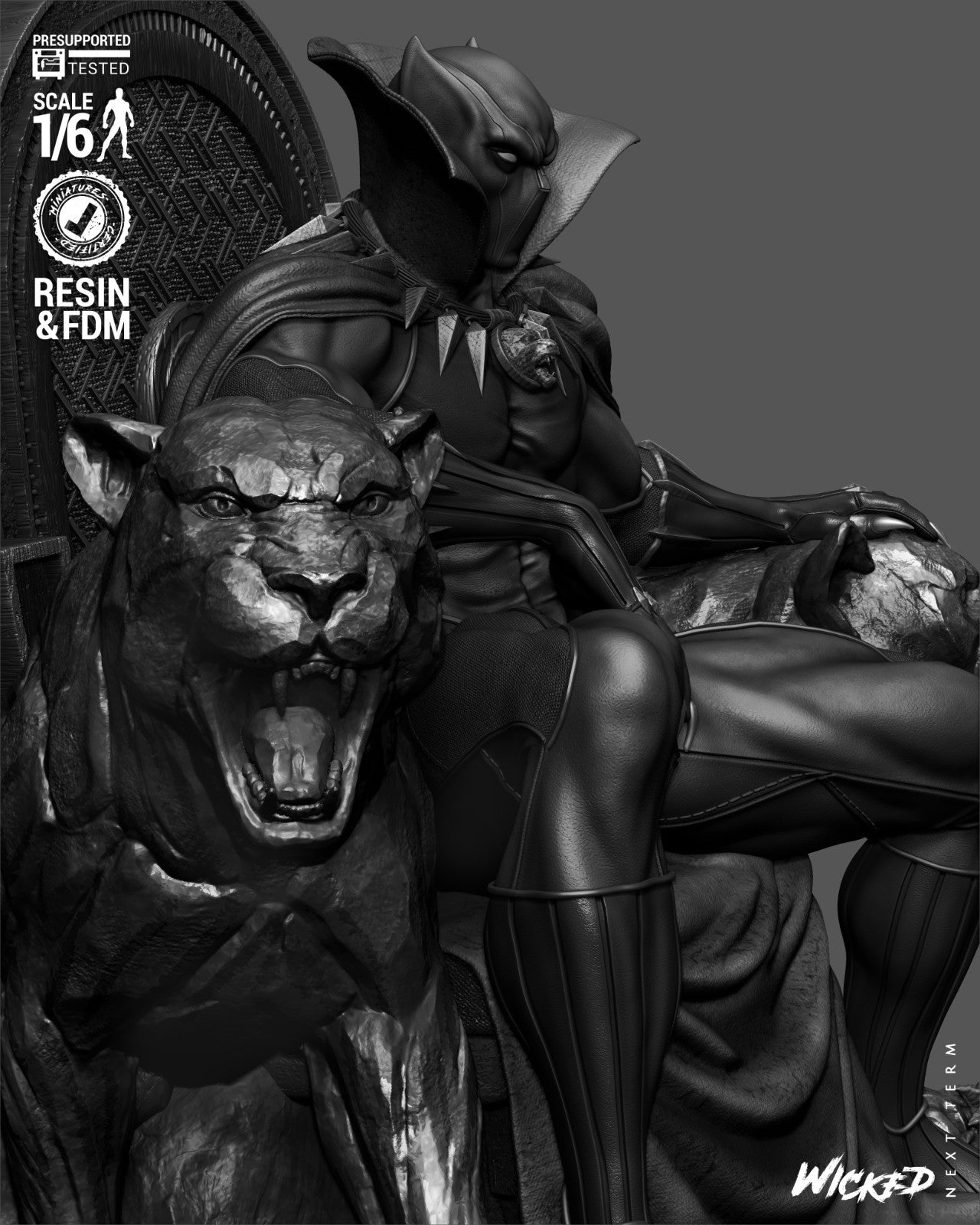 Image #21