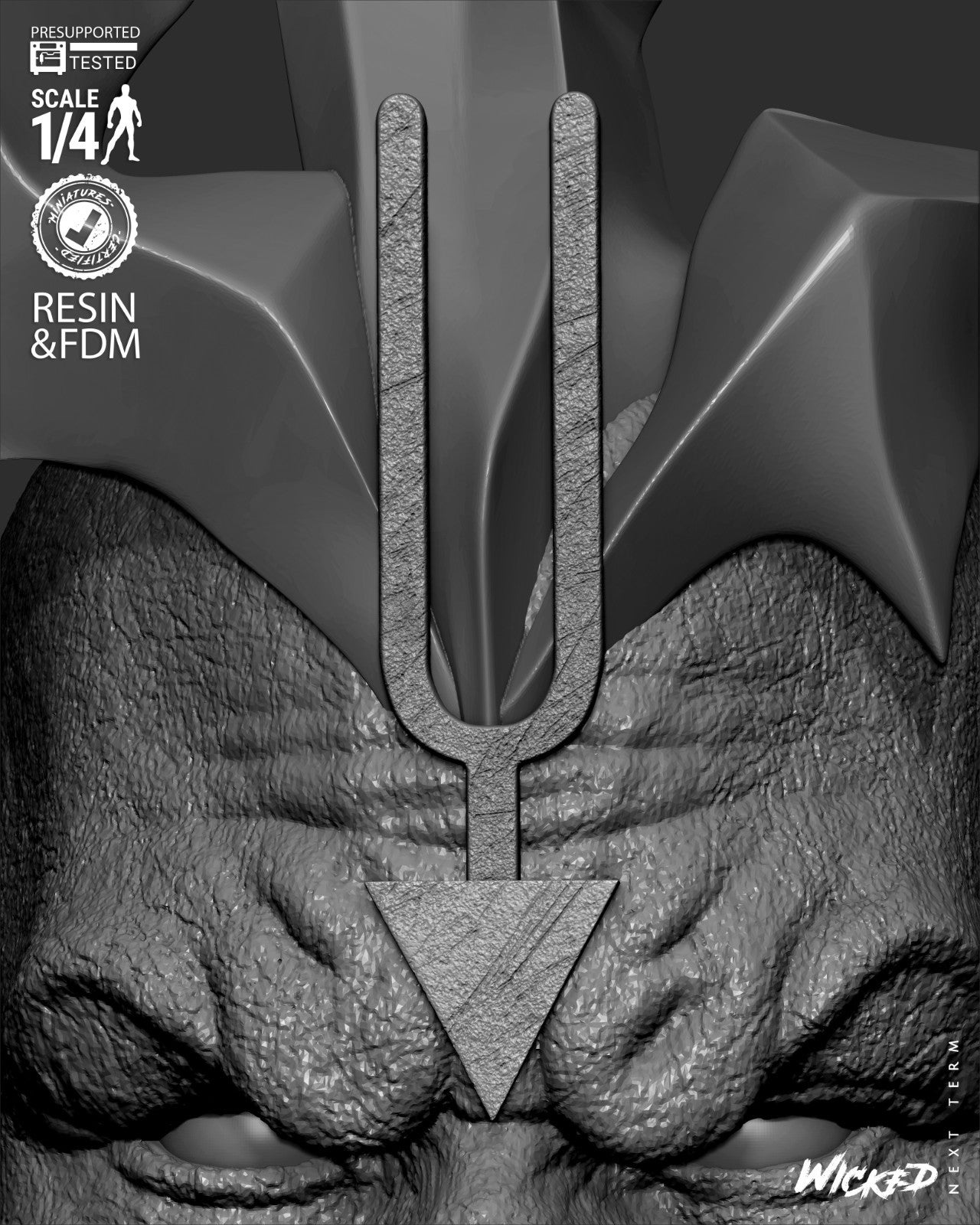 Image #14