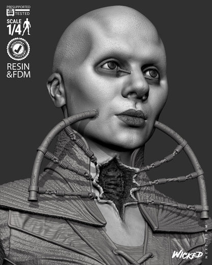 Image #9