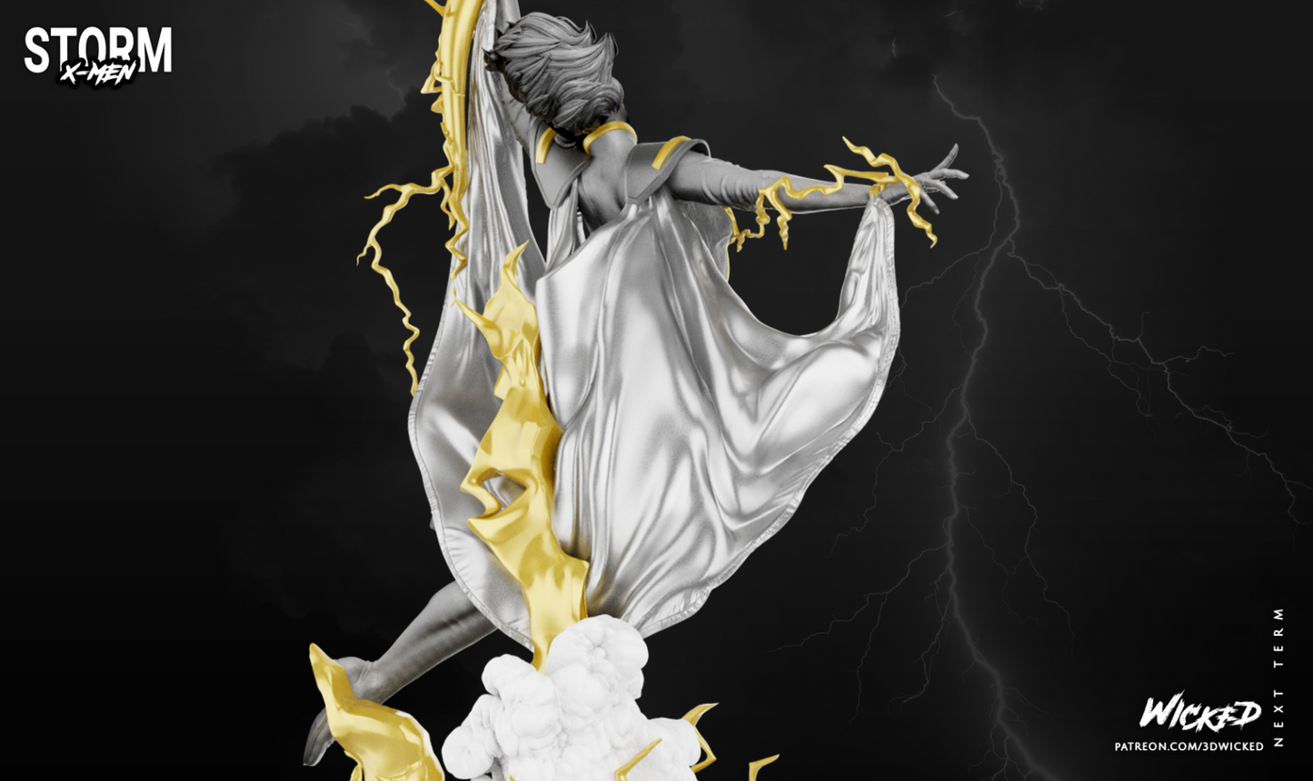 Image #17