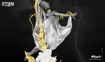 Image #17