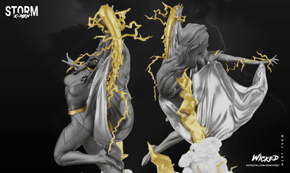 Image #11