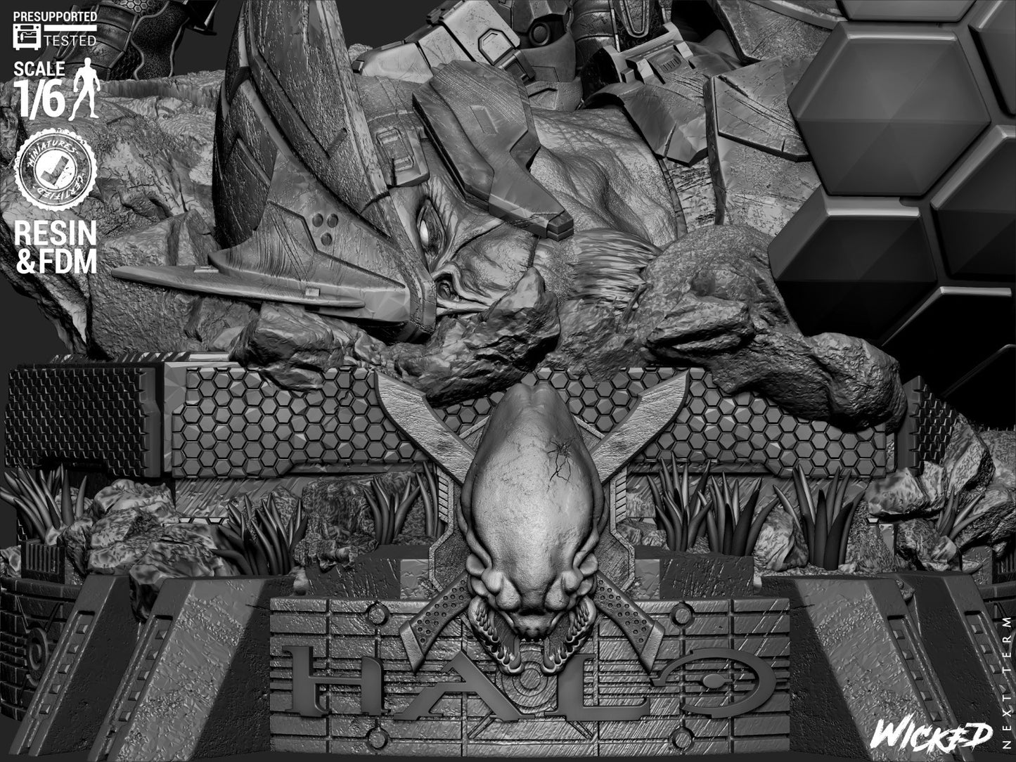 Image #23