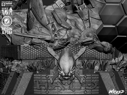 Image #23