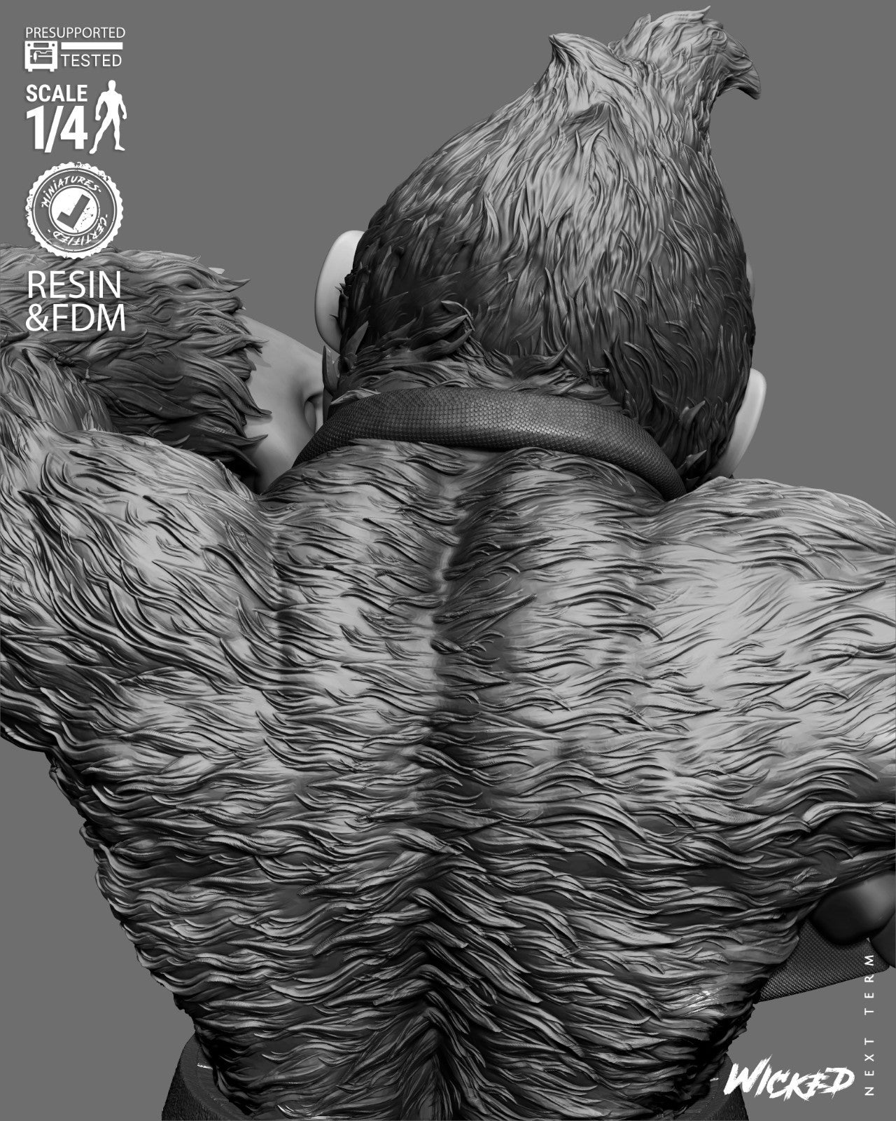 Image #13