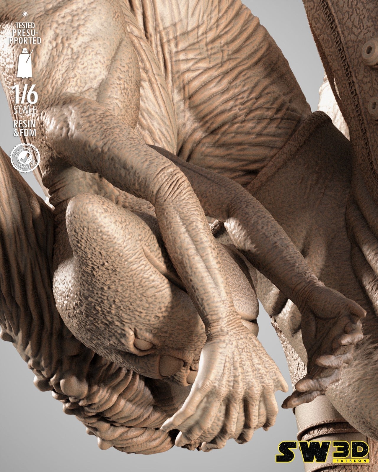 Image #13