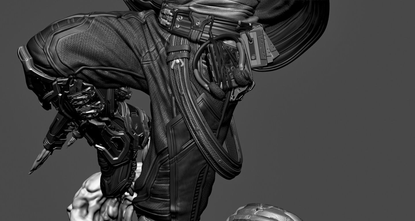 Image #13
