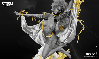 Image #14