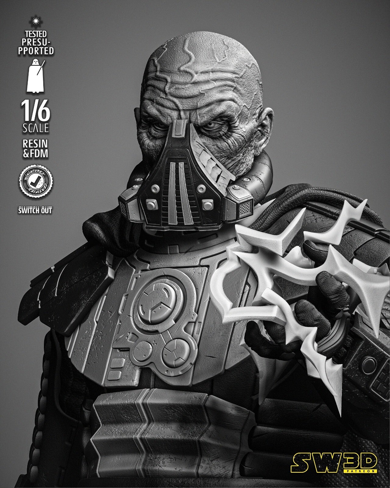 Image #12
