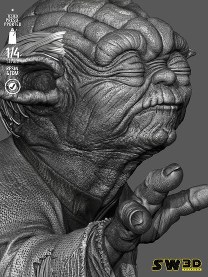 Image #14