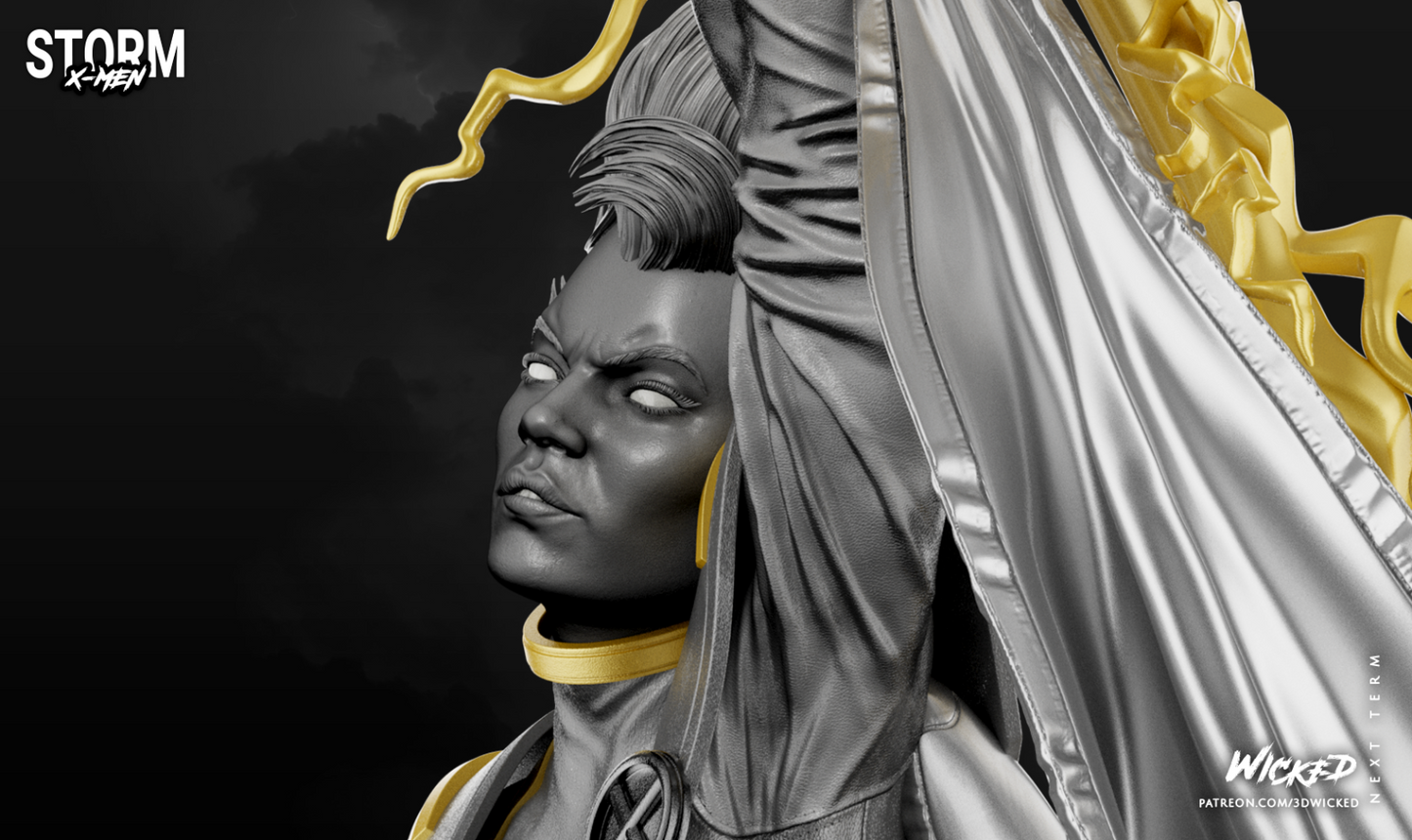 Image #23