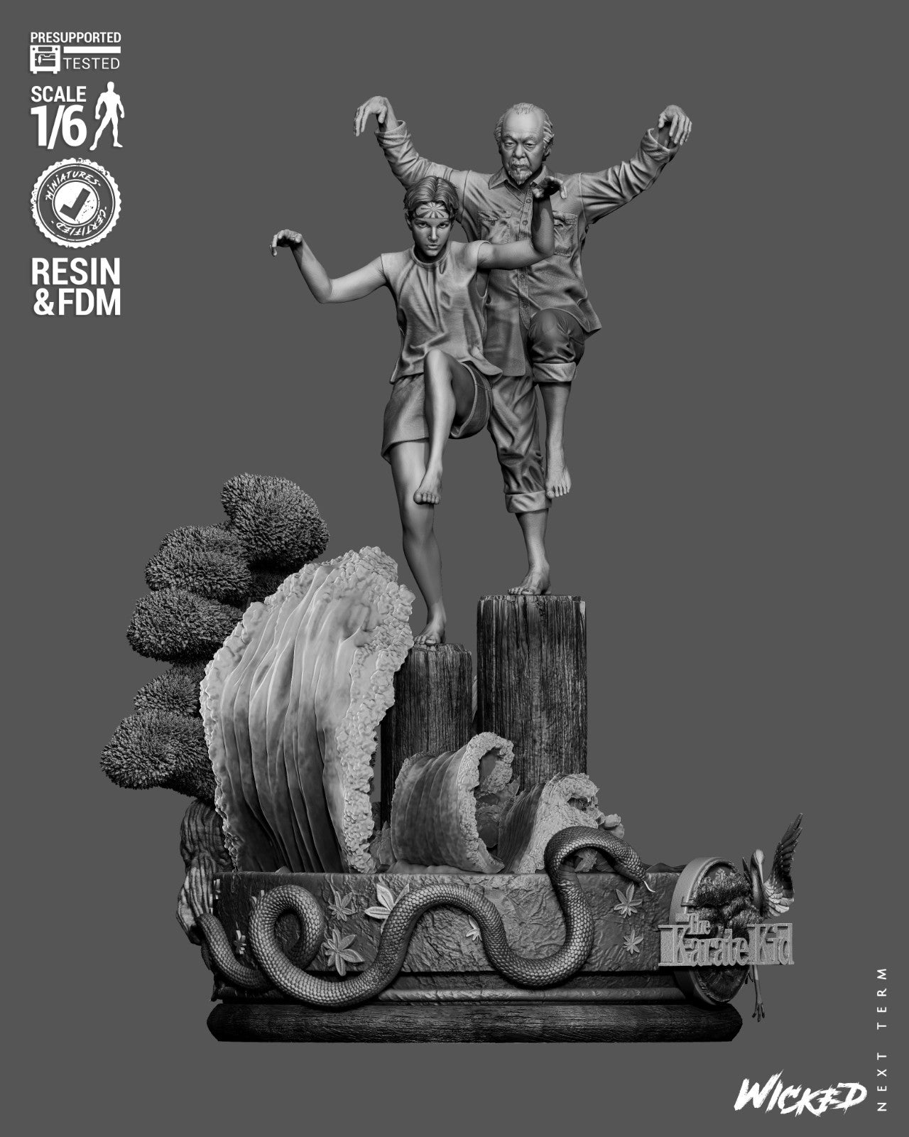 Image #5