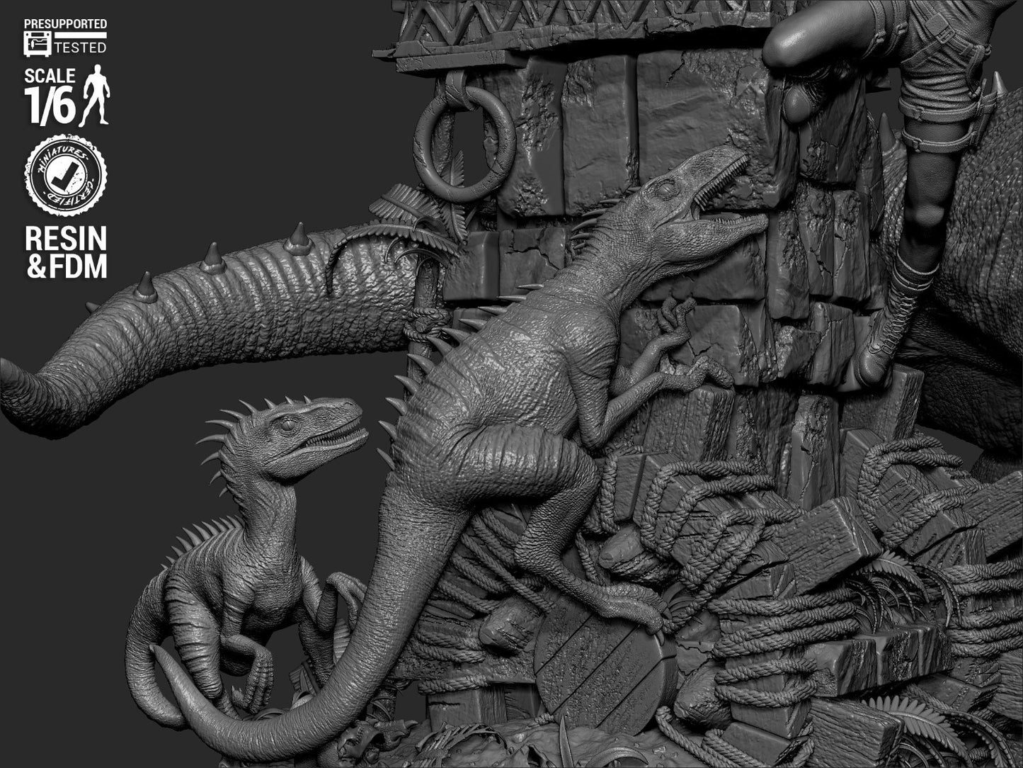 Image #23