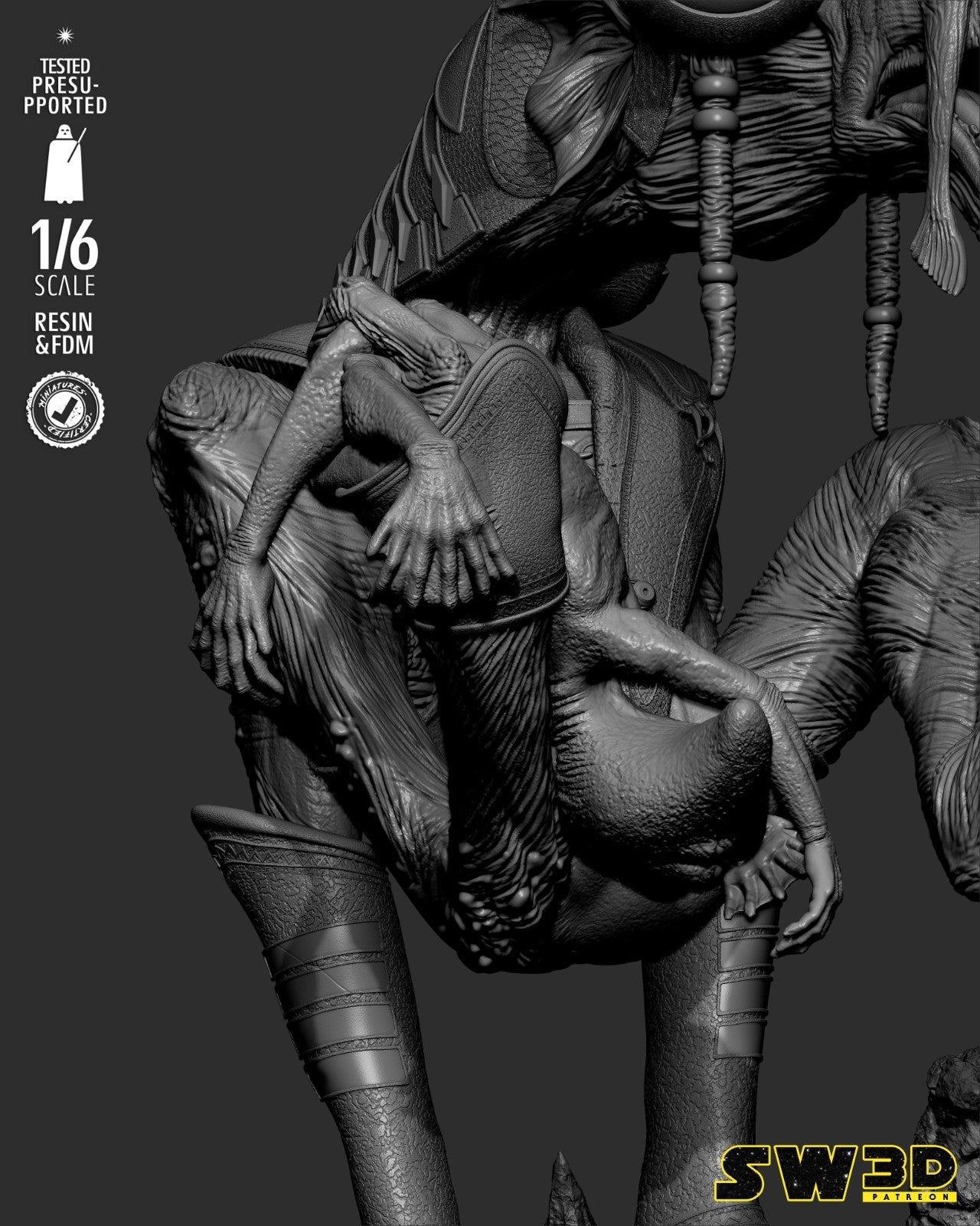 Image #22
