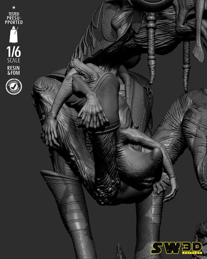 Image #22