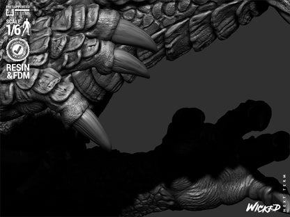 Image #24