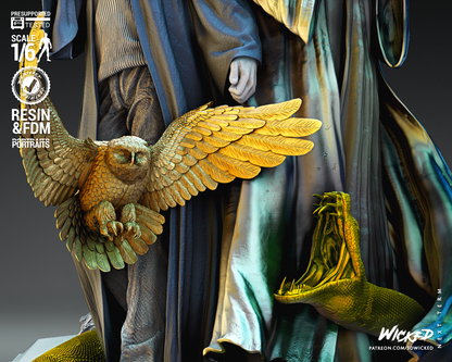 Image #11