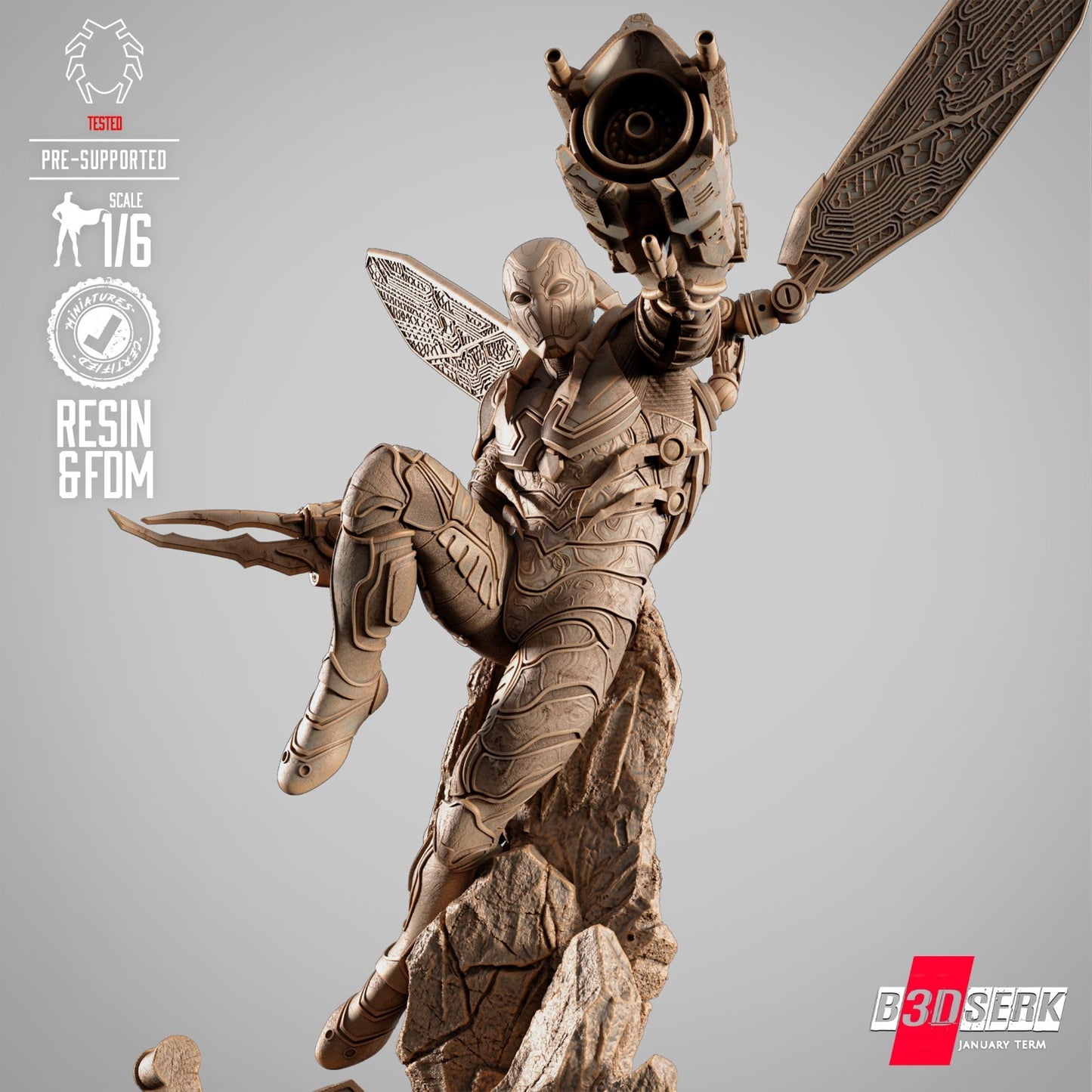 Image #12