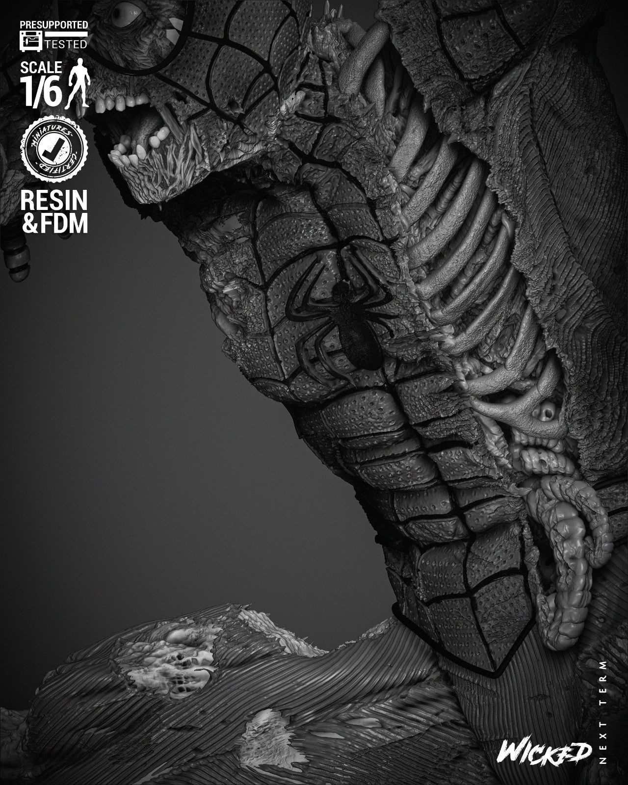Image #14