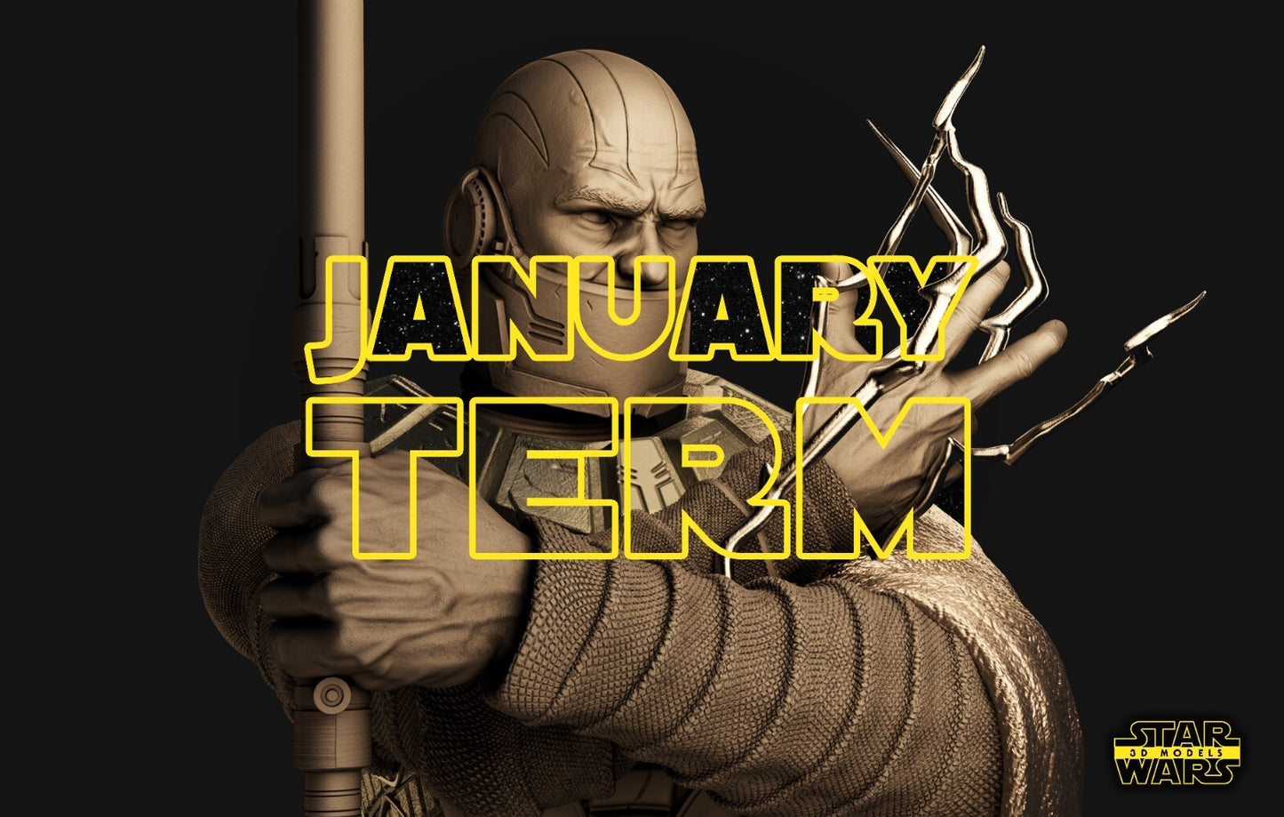 Image #12