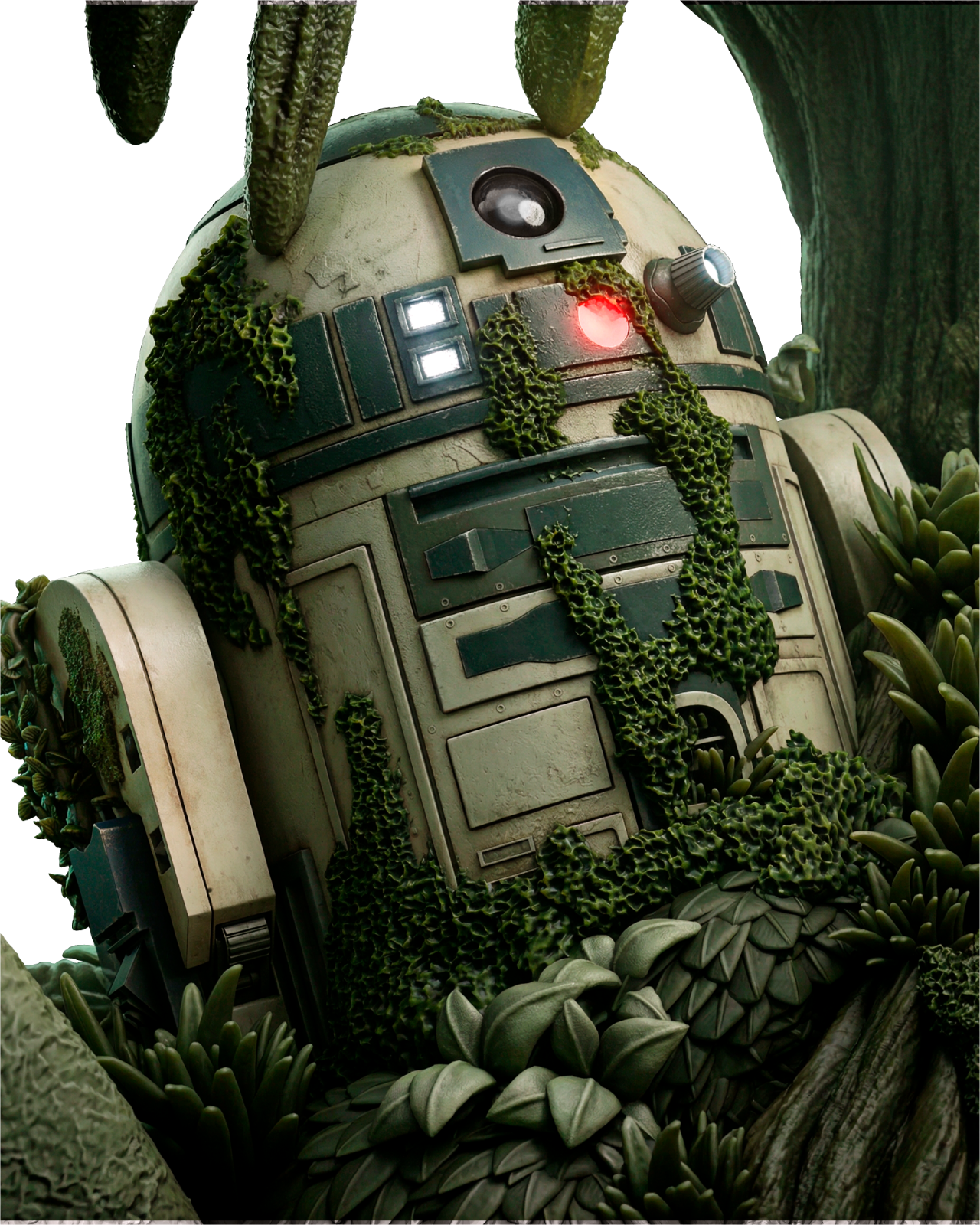 Image #12