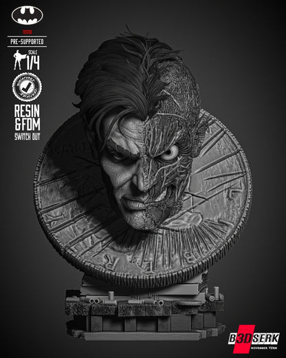 Image #17