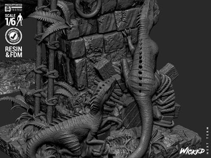 Image #24