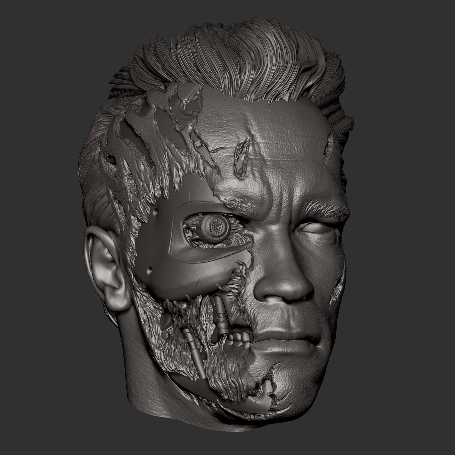 Terminator T-800 Arnold CA3D 3D Printed 16K Unpainted Resin Statue 1:6 scale