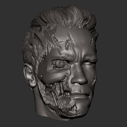 Terminator T-800 Arnold CA3D 3D Printed 16K Unpainted Resin Statue 1:6 scale