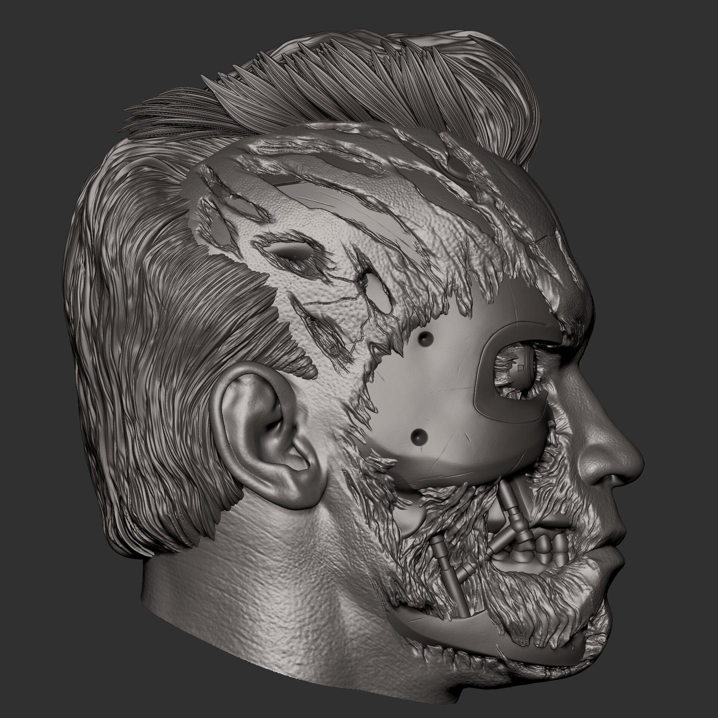 Terminator T-800 Arnold CA3D 3D Printed 16K Unpainted Resin Statue 1:6 scale