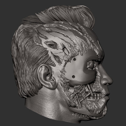 Terminator T-800 Arnold CA3D 3D Printed 16K Unpainted Resin Statue 1:6 scale