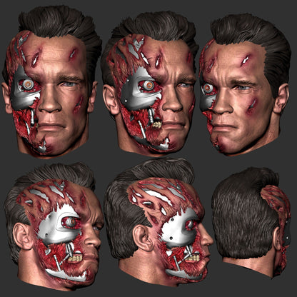 Terminator T-800 Arnold CA3D 3D Printed 16K Unpainted Resin Statue 1:6 scale